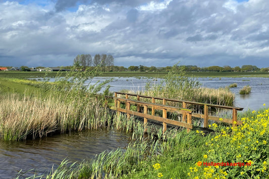 Ansichtkaart Binnenveldse Hooilanden met bruggetje Postcrossing