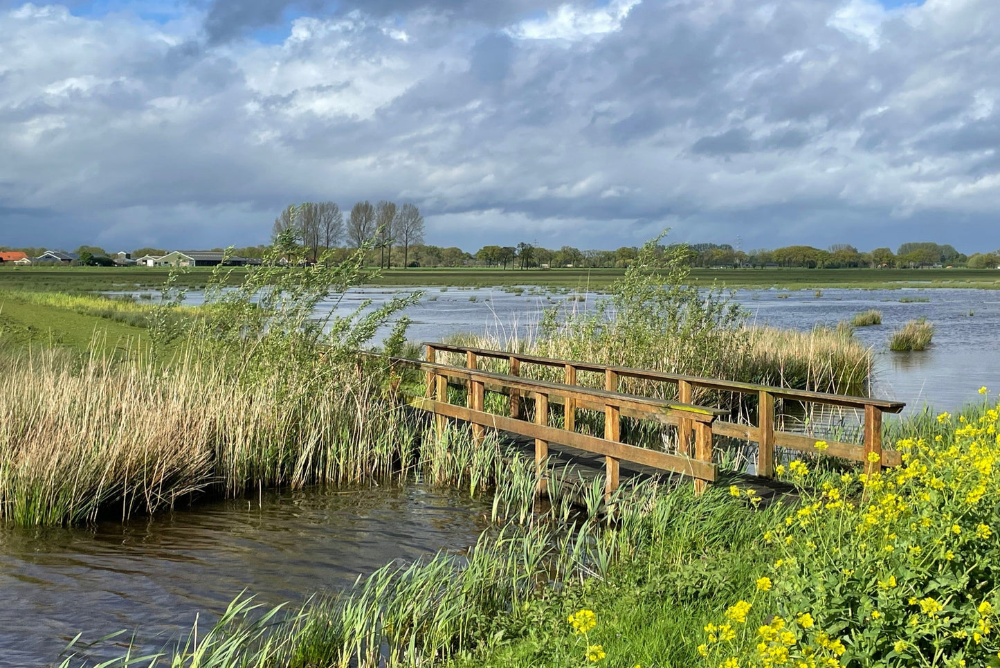 Ansichtkaart Binnenveldse Hooilanden met bruggetje