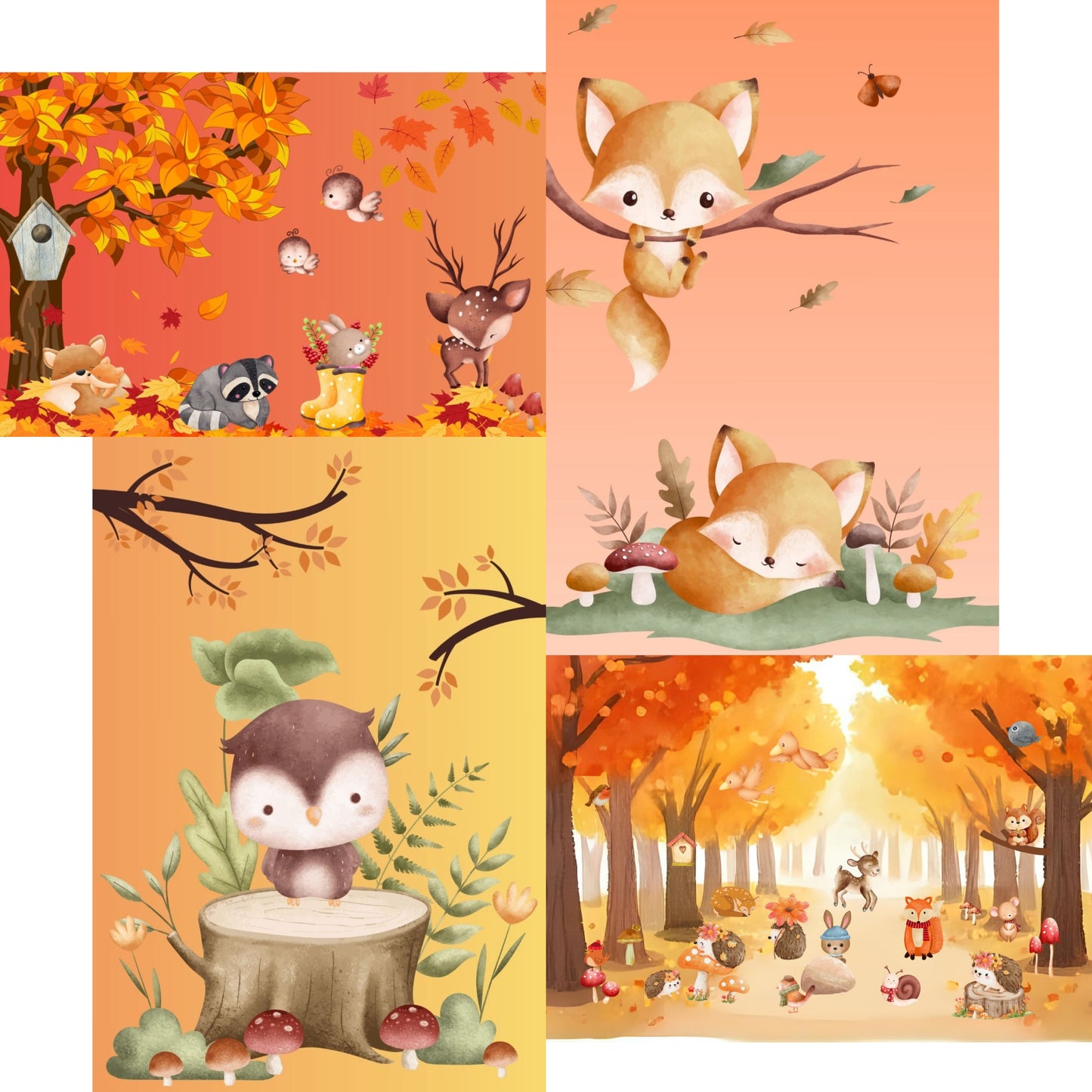 Ansichtkaartenset Herfstpracht voor Postcrossing