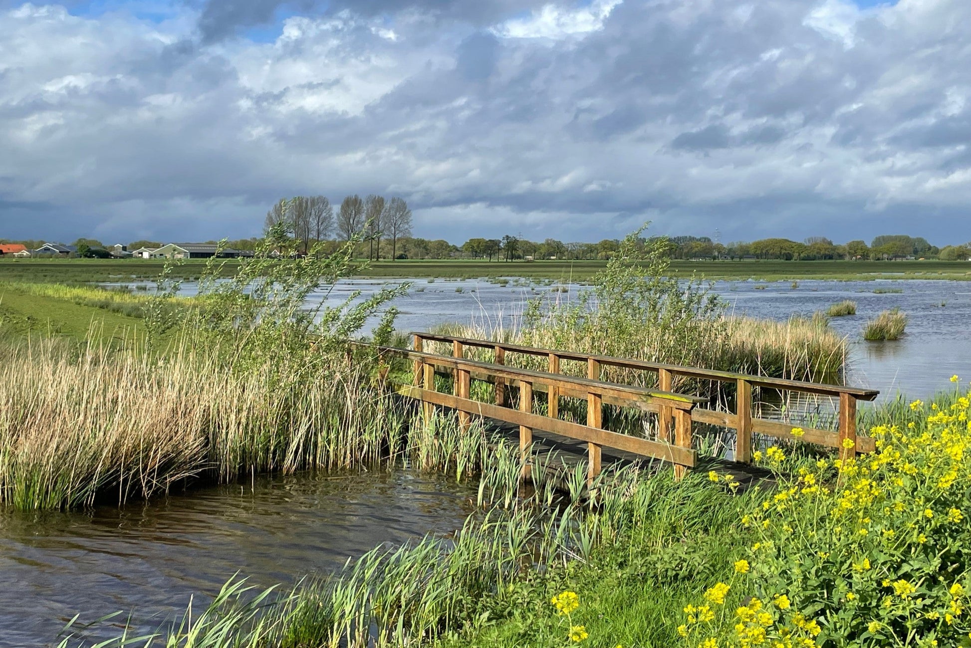 Ansichtkaart Binnenveldse Hooilanden met bruggetje