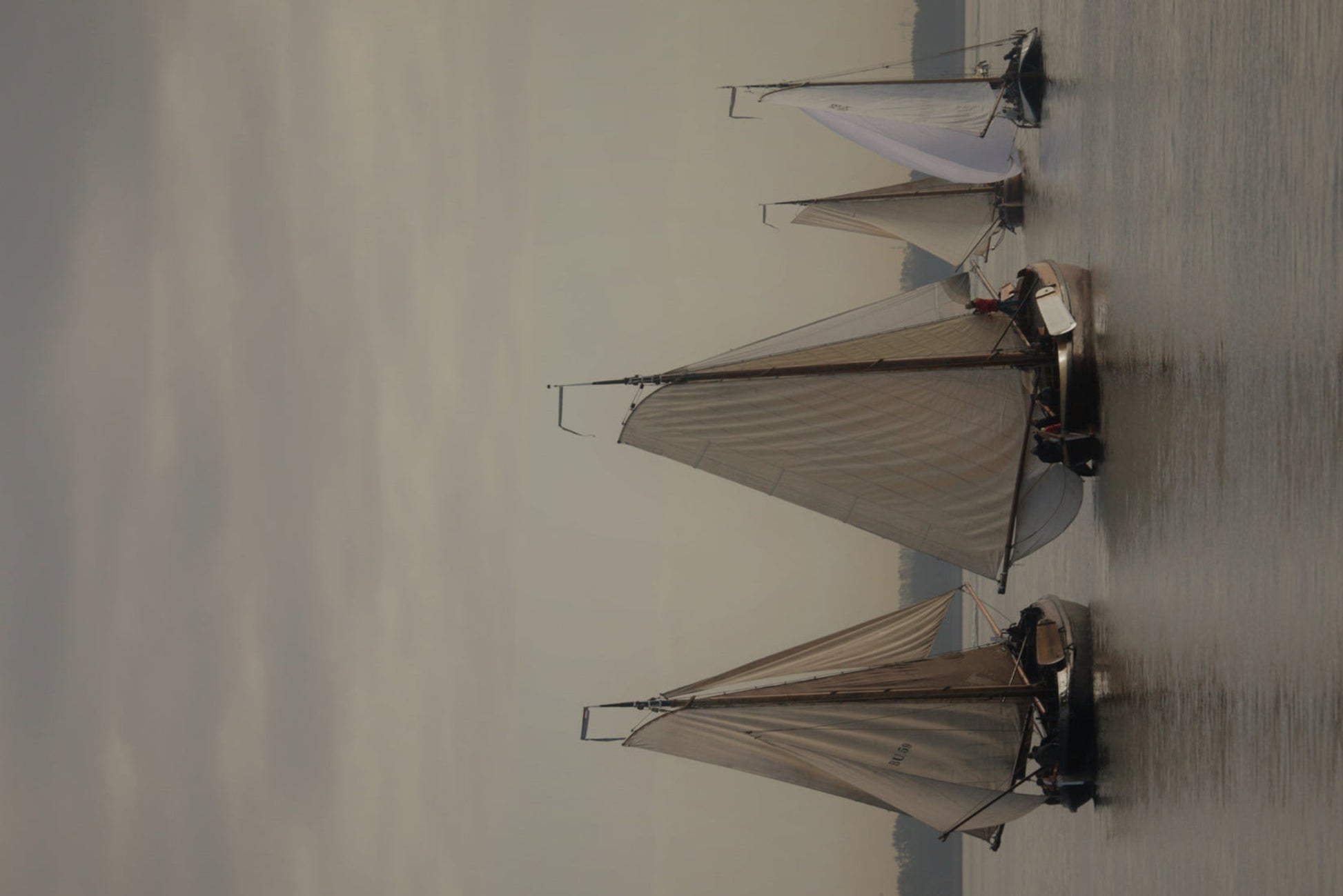 Ansichtkaart Bruine Vloot