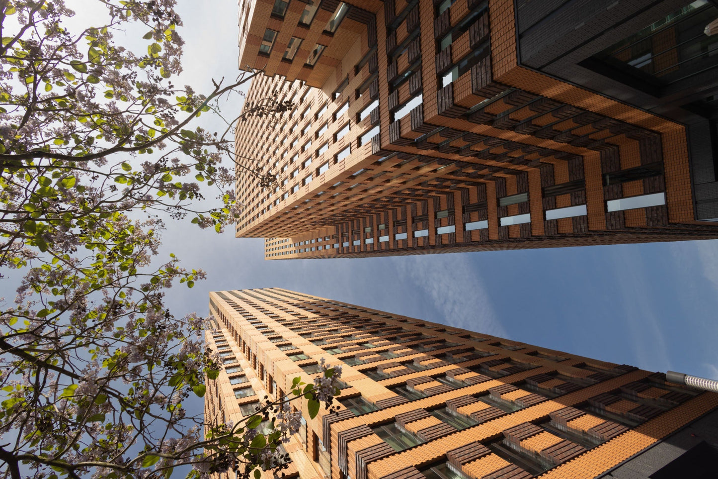 Ansichtkaart Gebouw Amsterdam Zuidas