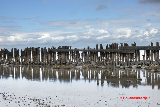 Ansichtkaart Moddergat Waddenzee Postcrossing