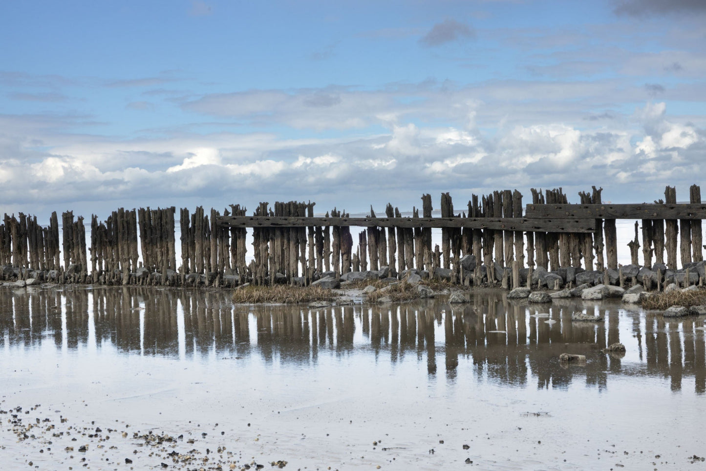 Ansichtkaart  Moddergat Waddenzee