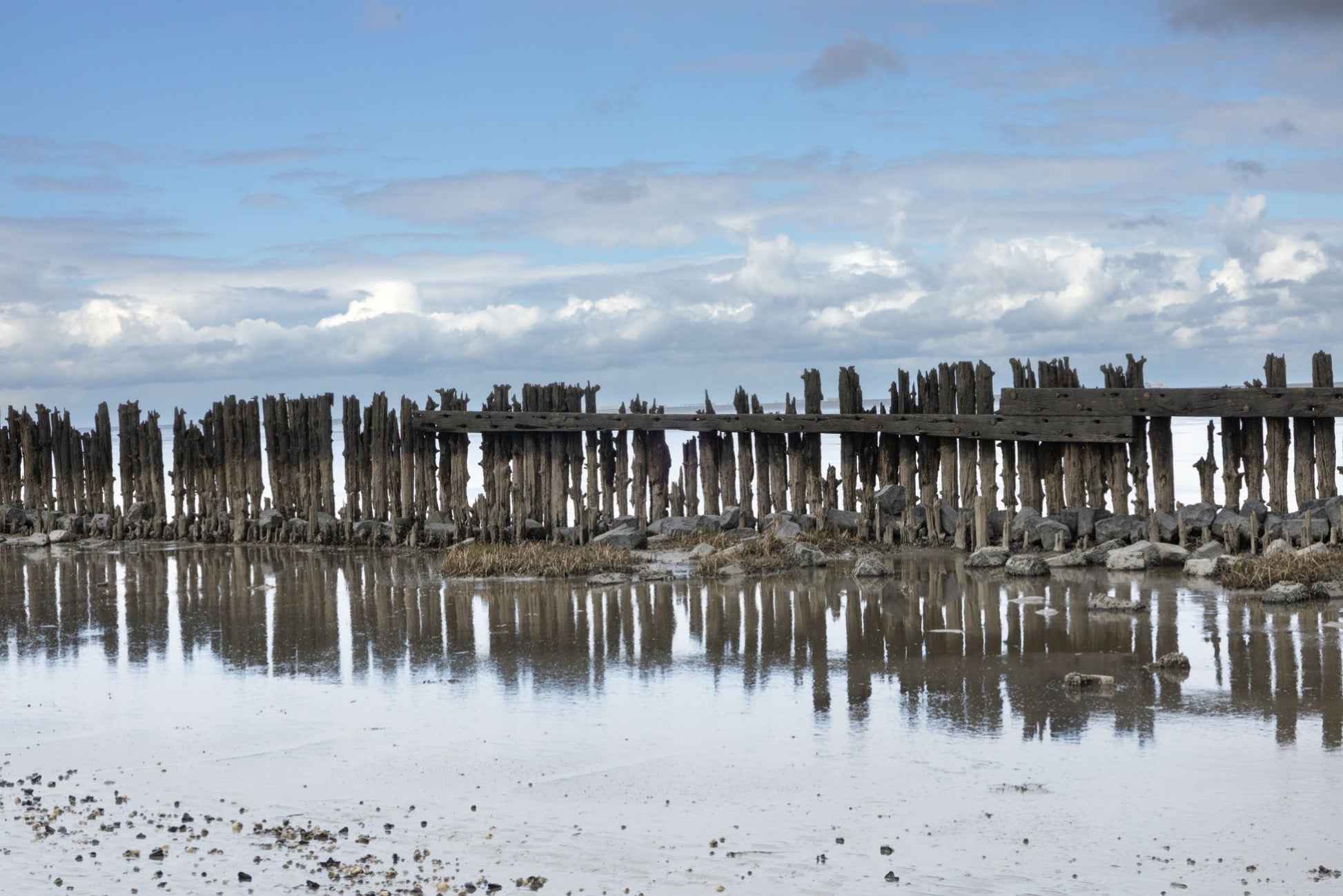 Ansichtkaart  Moddergat Waddenzee