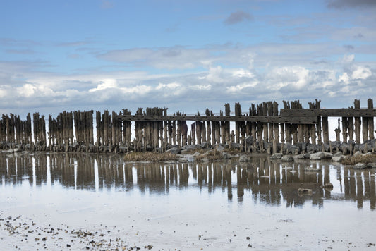 Ansichtkaart  Moddergat Waddenzee
