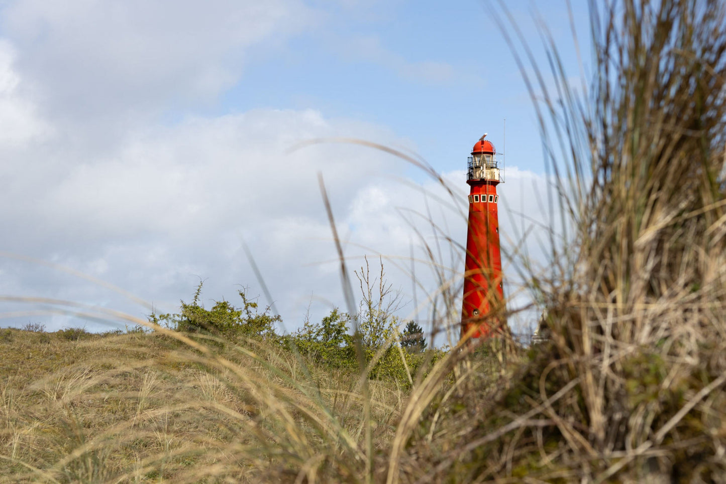 Ansichtkaart  vuurtoren schiermonnikoog