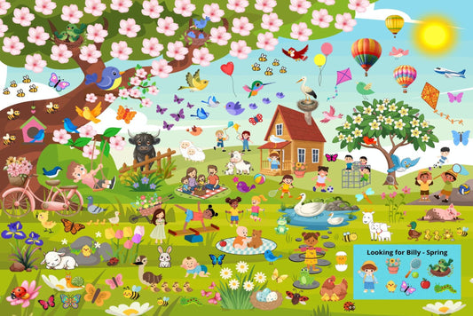 Zoekkaart Looking for Billy Spring
