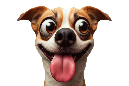 Ansichtkaart Blije Hond