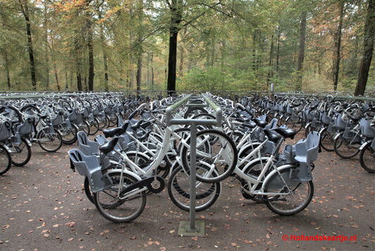 Ansichtkaart Fietsen Hoge Veluwe Postcrossing