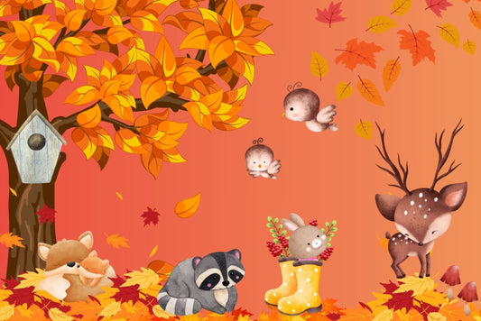 Ansichtkaart Herfst in het bos, postcrossing