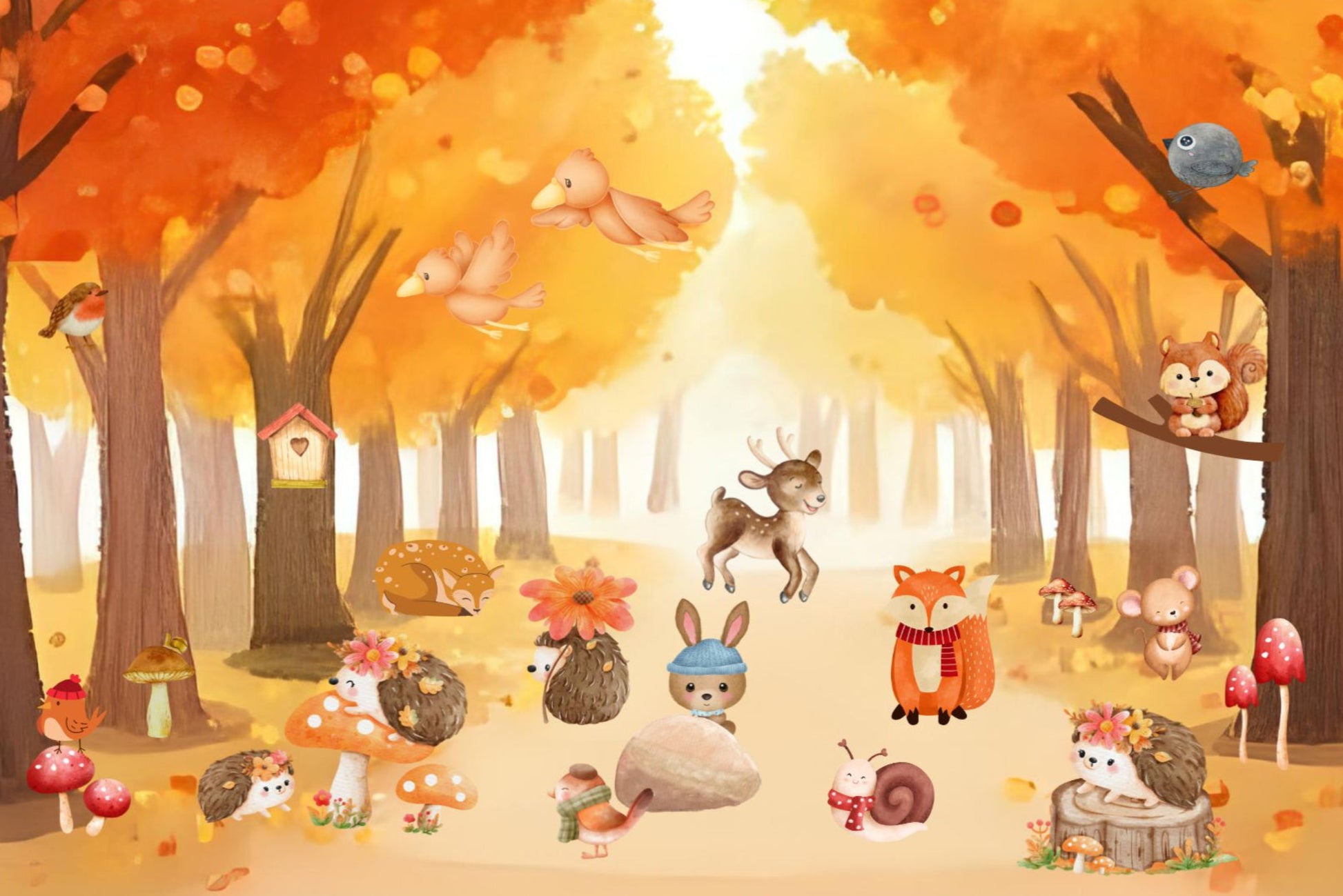 Ansichtkaart Hup de herfst in! Postcrossing